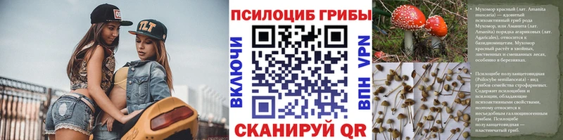 Галлюциногенные грибы Psilocybe  Славянск-на-Кубани 
